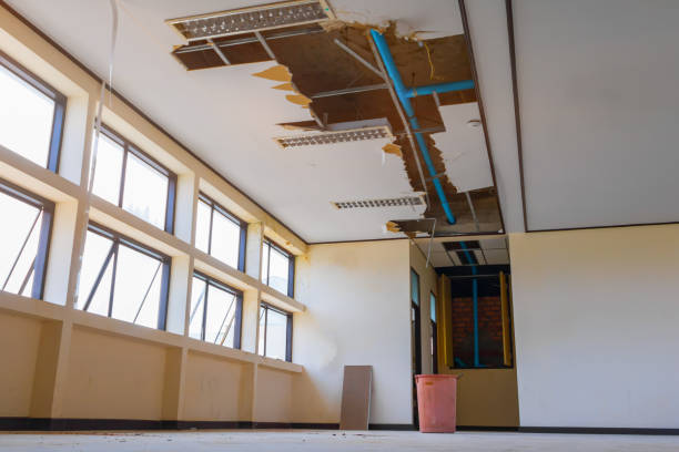 Best Water damage restoration insurance claims  in Callaway, FL