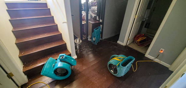 Best Carpet water damage restoration  in Callaway, FL