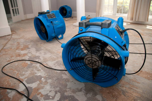 Best 24/7 water damage repair  in Callaway, FL