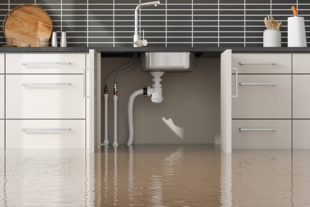 Best Professional water damage repair  in Callaway, FL