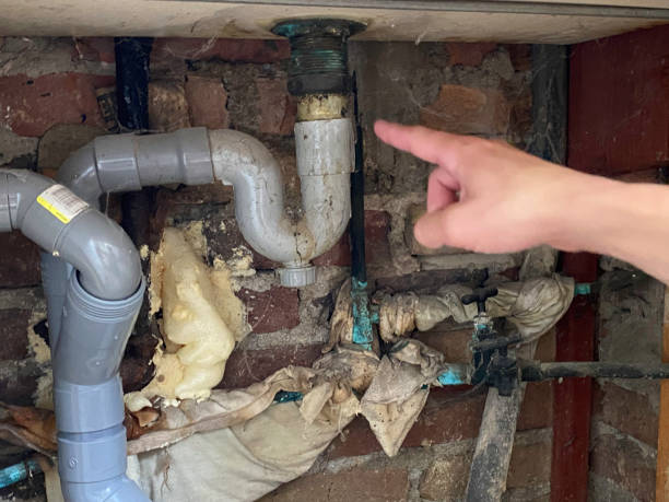 Best Professional water damage repair  in Callaway, FL